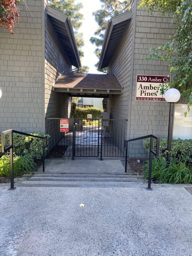 Photo - 142 - Amber Pines