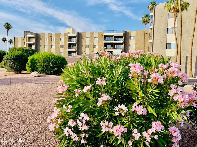 Photo - 425 S Parkcrest Apartment Unit 323