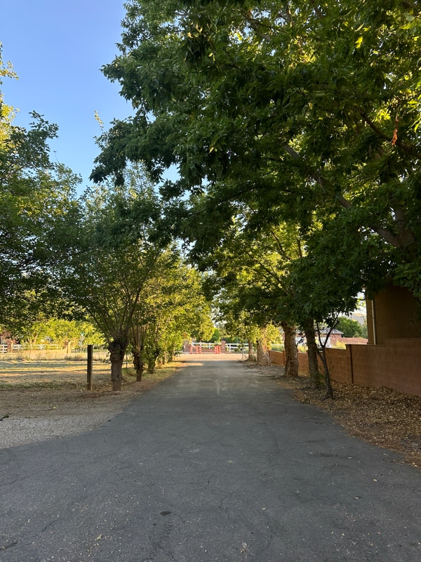 Photo - 1231 W 400 S Unidad Basement