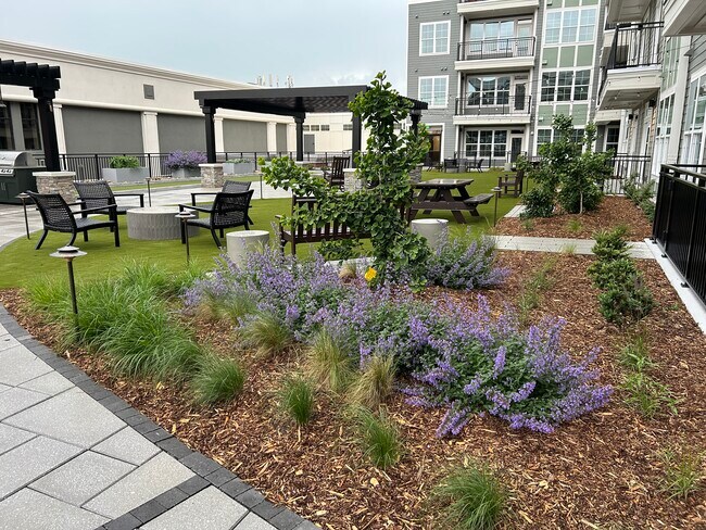 Elevated Courtyard