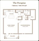 The Peregrine