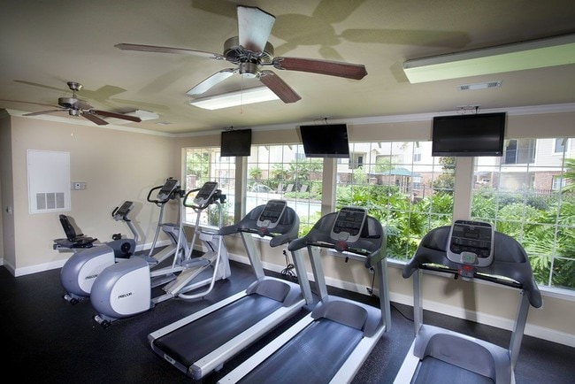 Ivy Park - Fitness Center