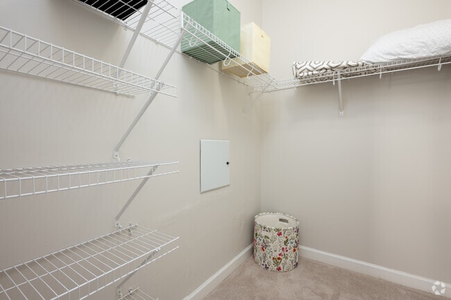1BR, 1BA - 872SF - Walk-In Closet