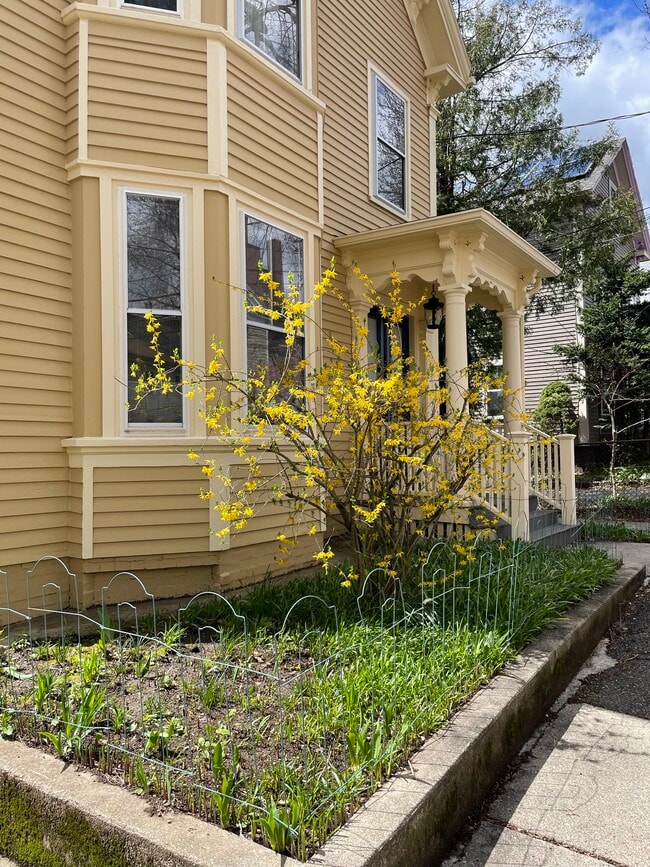 Building Photo - 26 Oxford St Unit First floor front