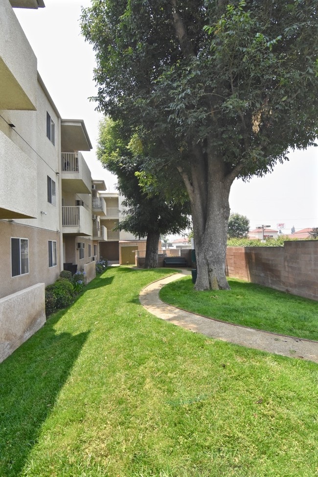 Dog Park - Chateau Dearborn