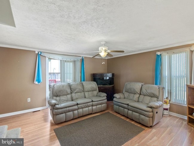 Photo - 18 Ivy Oak Ct