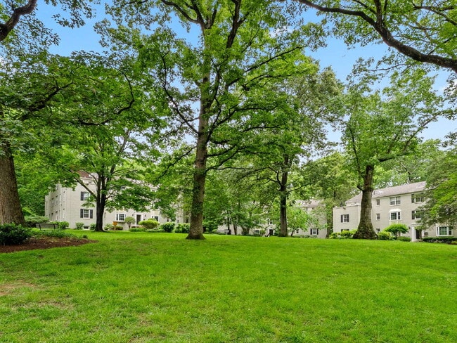 Photo - Sought-After fully remodeled Park Glen Condo Living in Arlington! Unit 104