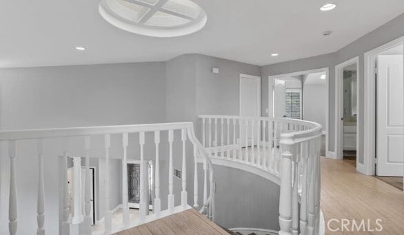22271 Birchleaf