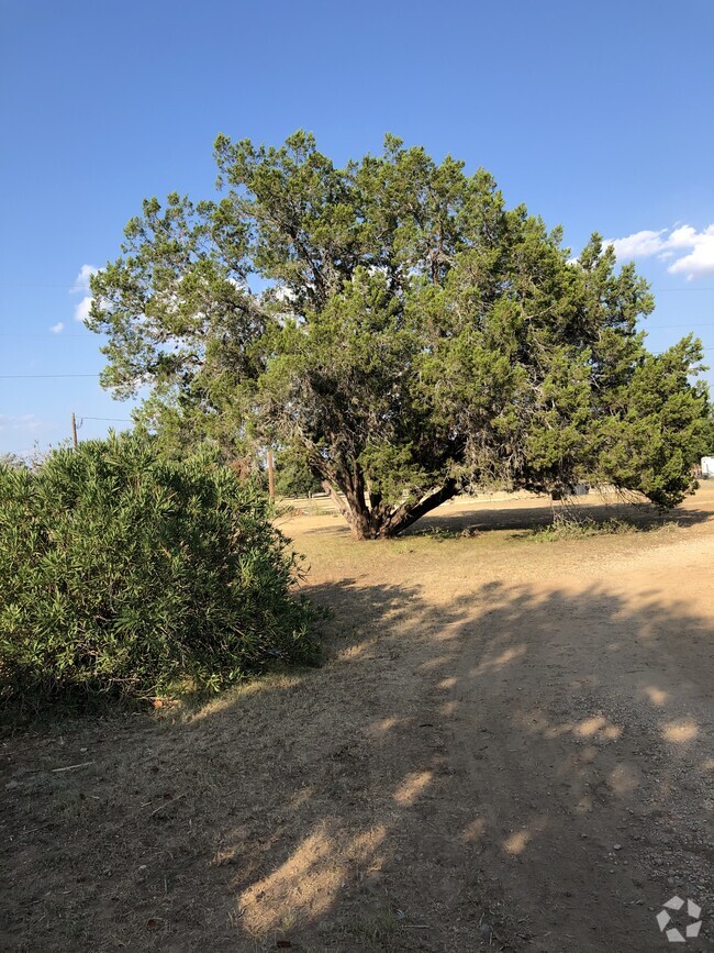 Building Photo - 200 Blue Bonnet Dr Rental