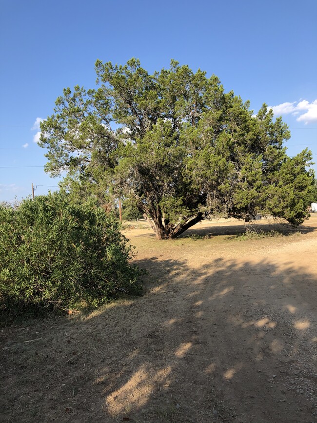 Building Photo - 200 Blue Bonnet Dr Rental