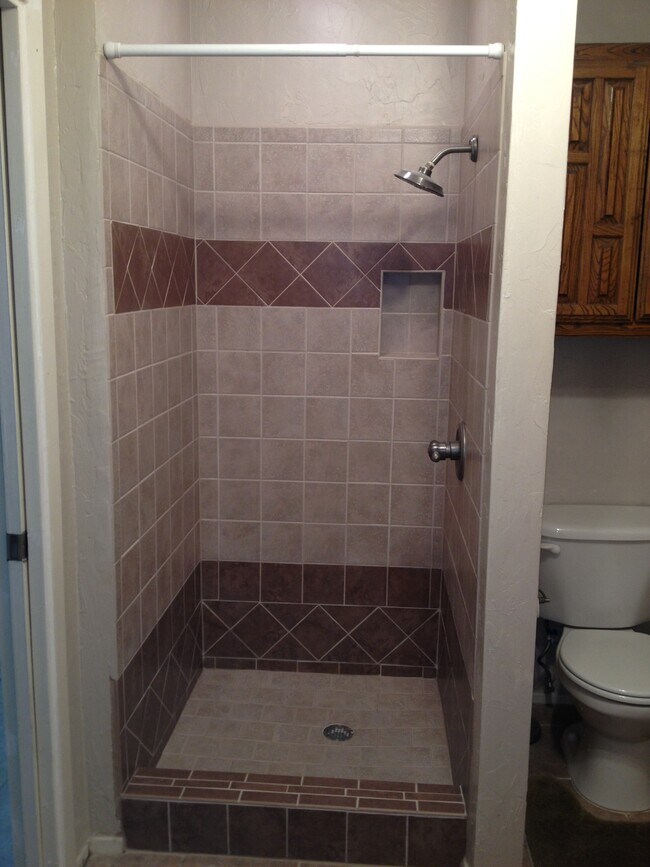 Master Shower - 3136 Pin Oak Ct