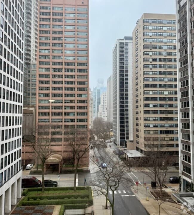 Building Photo - 253 E Delaware Pl Unit 7H Rental