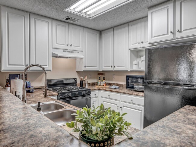 Photo - Adrian on Riverside