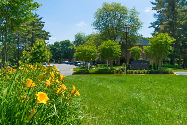 Beautifully Landscaped Grounds