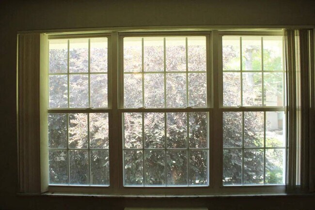White Bluff Apartments