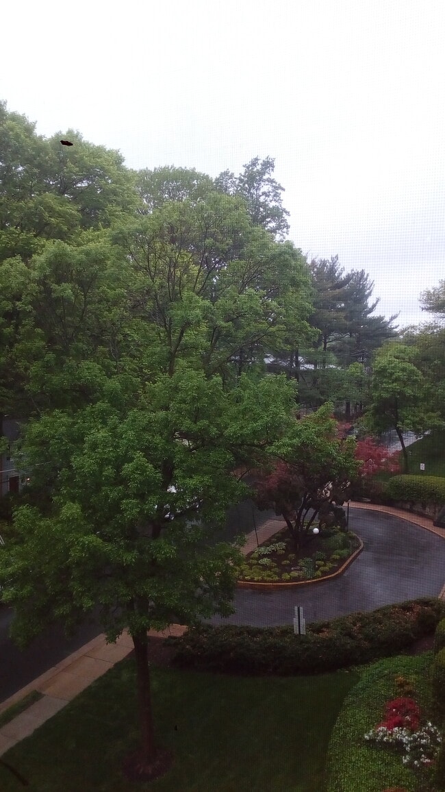 View from bedroom windows - 8601 Manchester Rd Unit 406