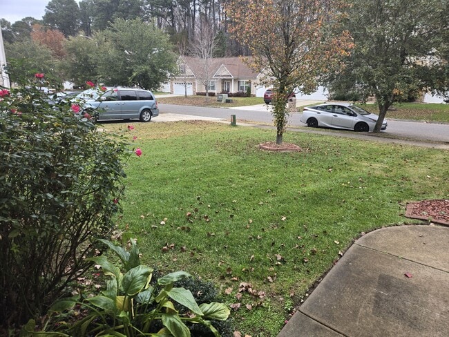 Photo - 2009 Breck Ave