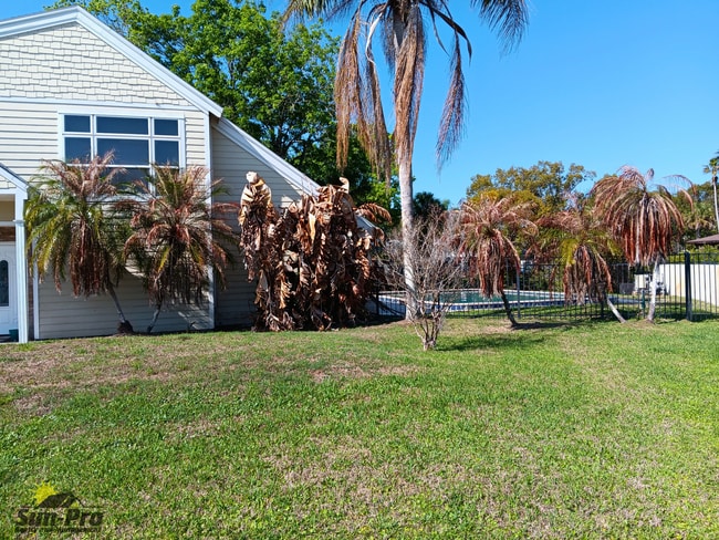 Photo - 9 Waterberry Cir