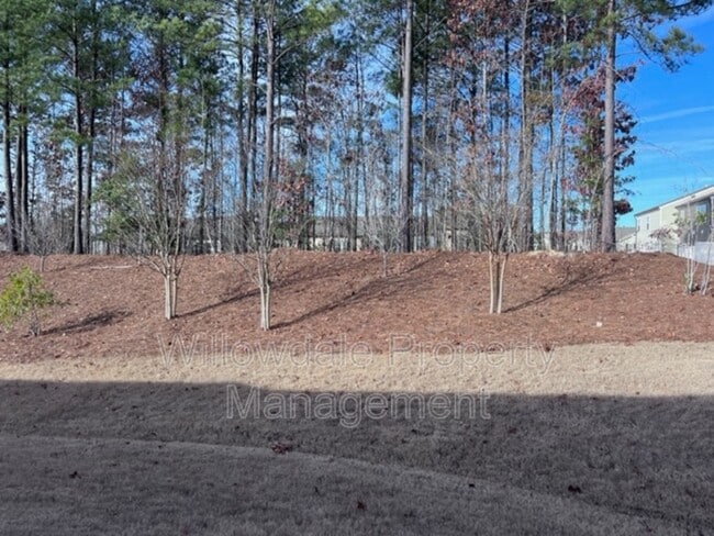 Photo - 1132 Chestnut Bluff Run