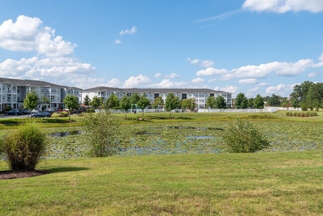 Photo - The Links at Gleneagles