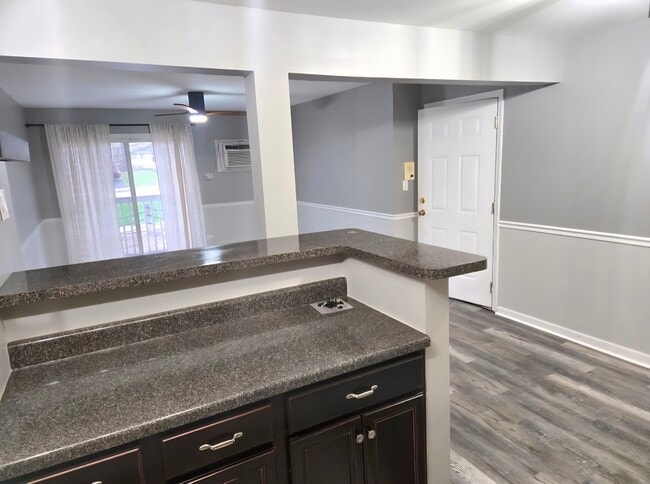 Photo - 213 E Liberty St Unidad 8