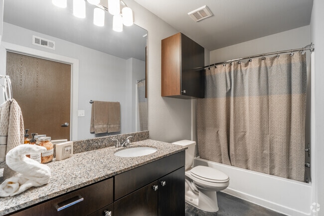 1BR, 1BA P - 713SF - Bathroom