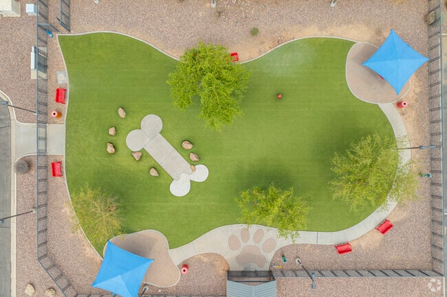 Bark Park