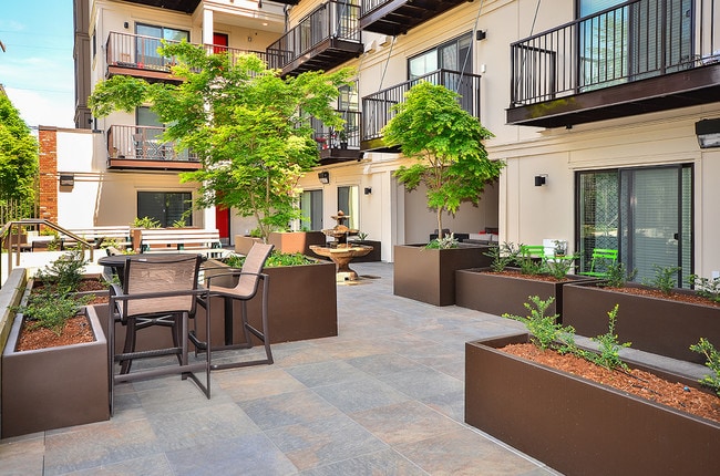 Courtyard View