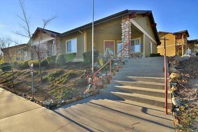 Primary Photo - Cedar Park