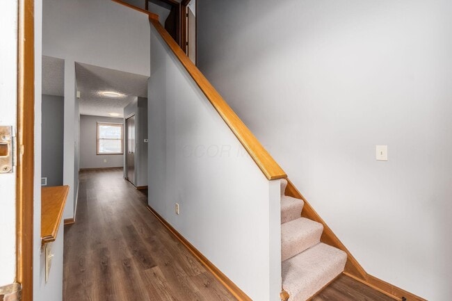 Photo - 8308 Talia Ct