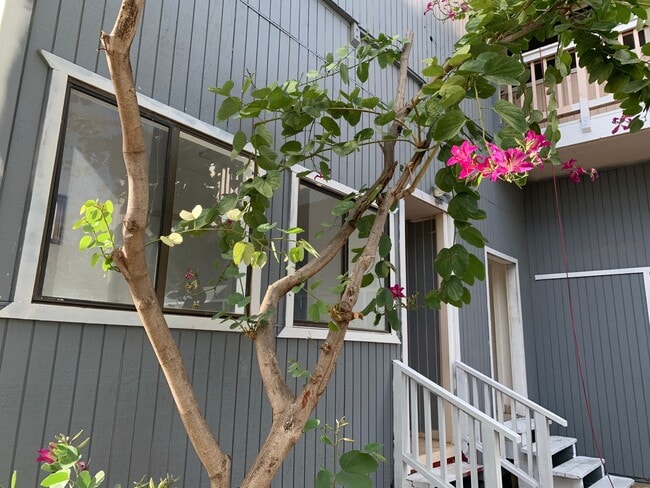 Photo - 2 bedroom 1.5 bathroom Ohana, across the street from the beach and park! Unit Cottage