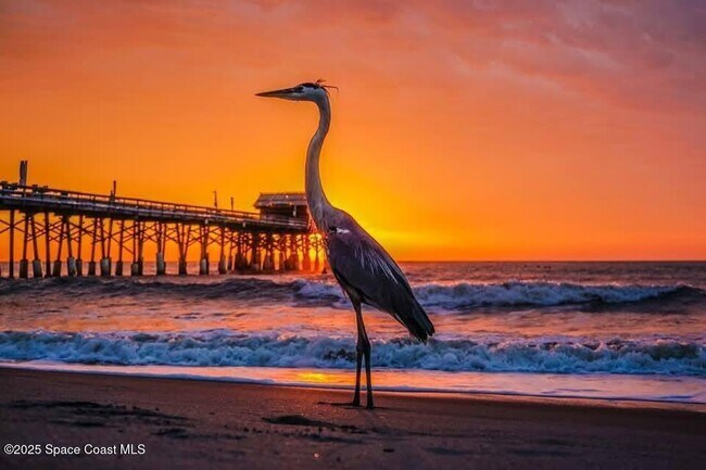 Photo - 299 Chandler St