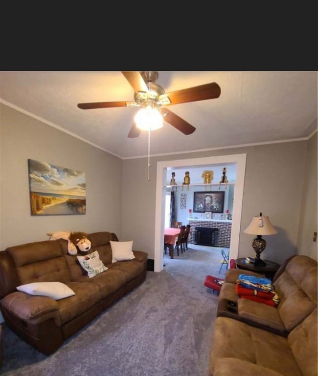 Photo - 229 Holland St