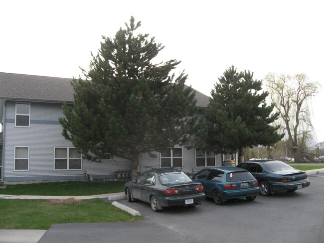 Willow Wood Apts