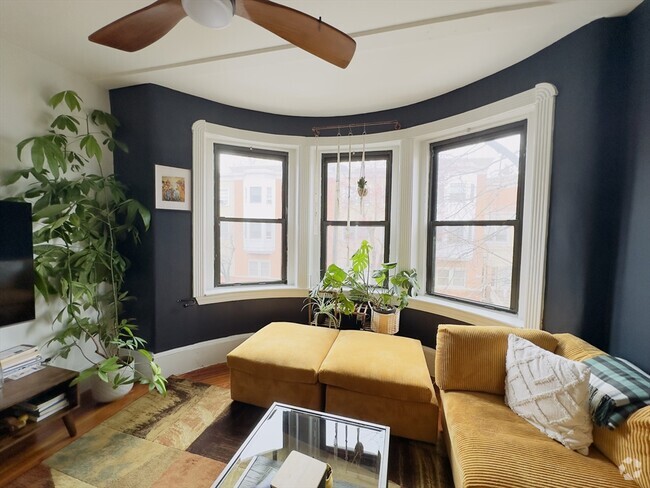 Building Photo - 32-34-34 Ditson St Unit 3 Rental