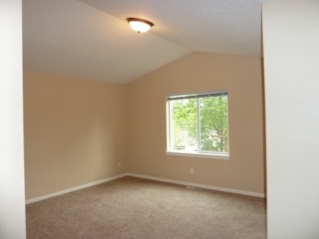 Photo - Near Minto Brown Island