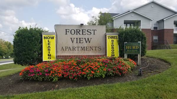 Photo - Forest View Apartments