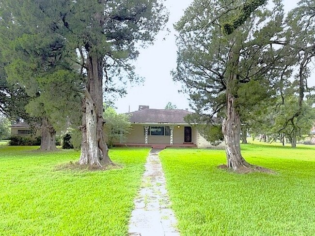 Building Photo - Spacious 3-Bedroom Home on an Expansive Lot in Maringouin