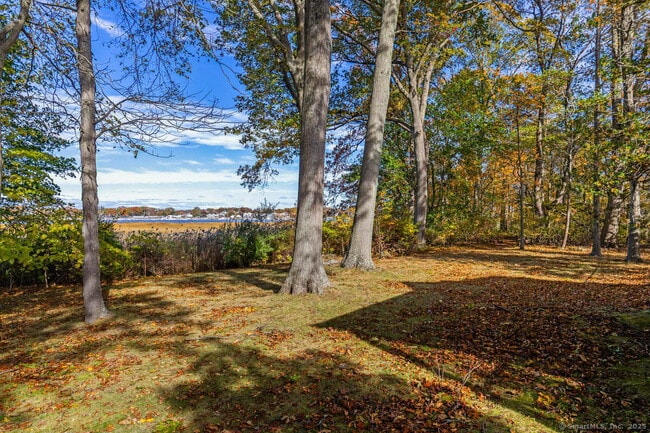 Photo - 31 Pawson Rd