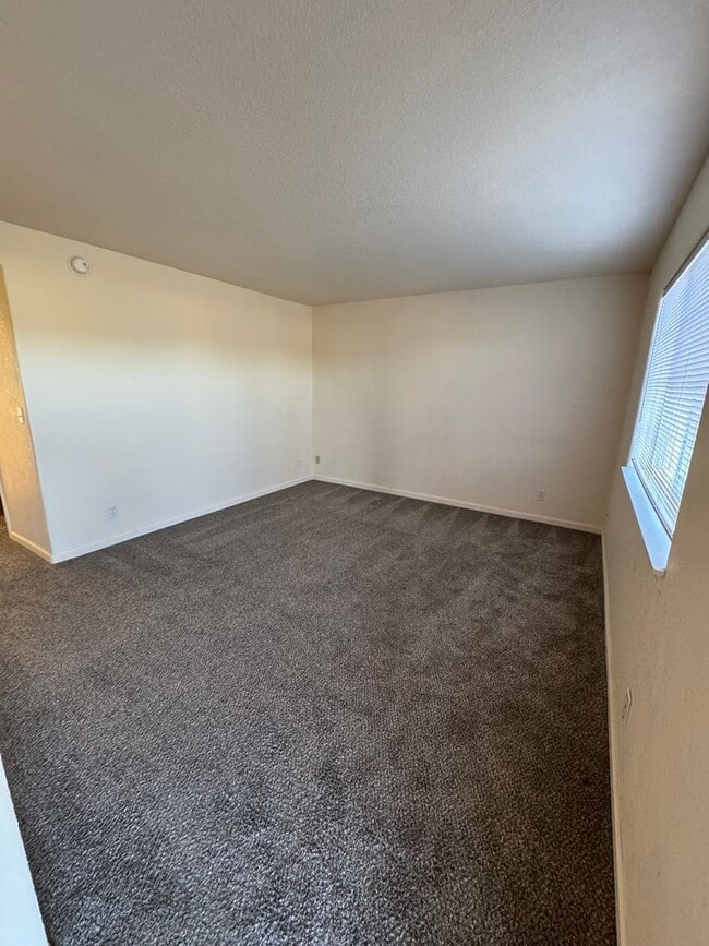 Photo - STIS Unit STIS1061