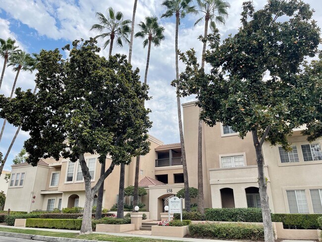 The Madison Apartments