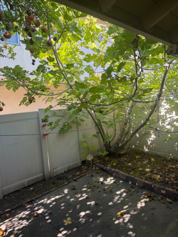 Photo - 918 W Huntington Dr Unit C