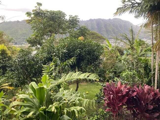 Photo - 3232 Paty Dr