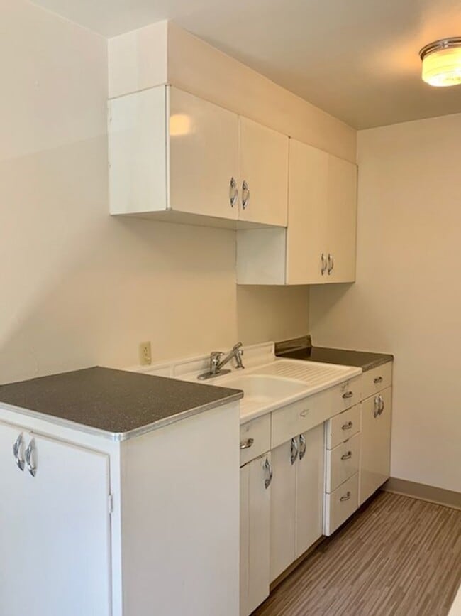 Photo - Blue Dolphin