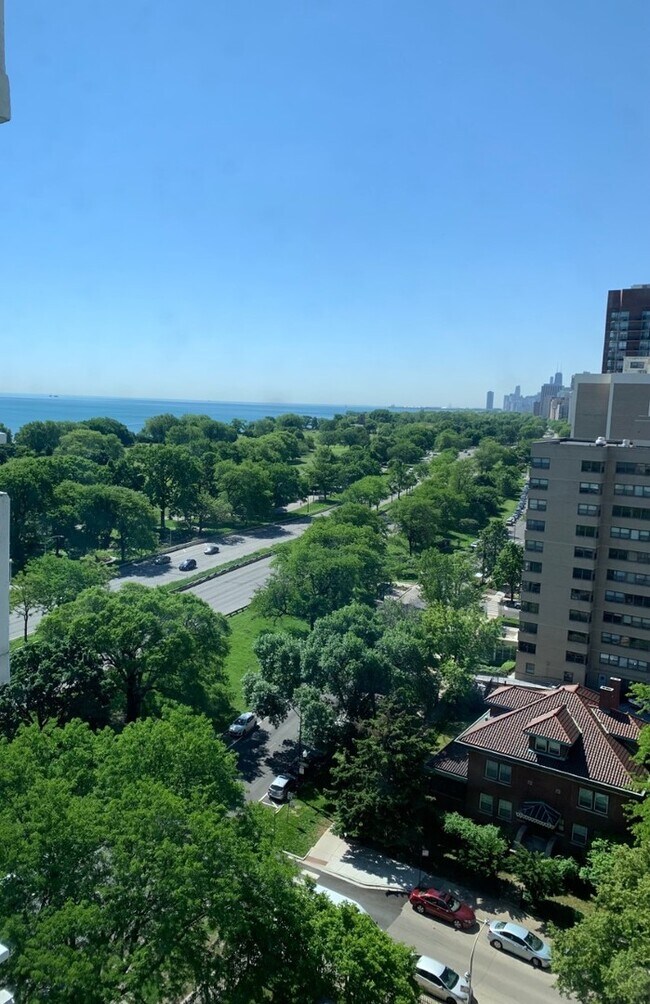 4250 N Marine Dr Condo Unit 1404 Condo for Rent in Chicago, IL