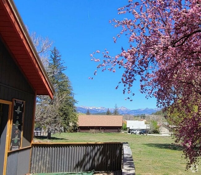 Building Photo - Downtown Pagosa Springs Gem – Fully Renova... Rental