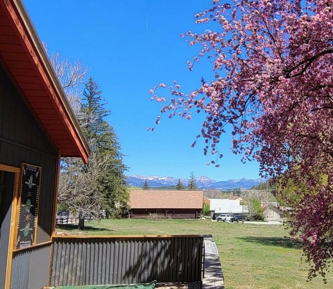 Building Photo - Downtown Pagosa Springs Gem – Fully Renova... Rental