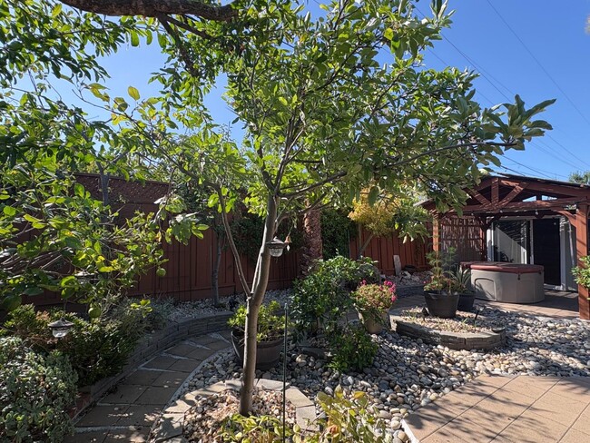 1562 Tobias Dr