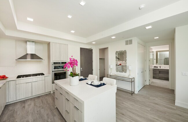 Model - Kitchen - The Luxe, Apartments at Ridgedale