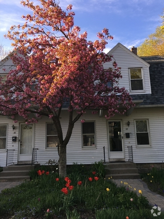 Building Photo - 20 Elmwood St Rental